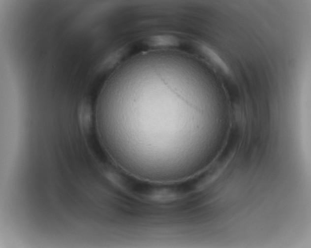 X0000113910549200910011451