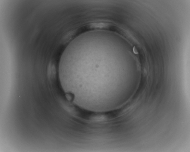 X0000113910551200910011451