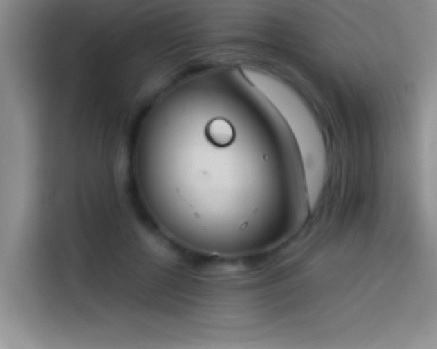 X0000113910552200910011451