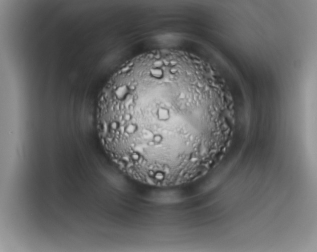 X0000113910553200910011451