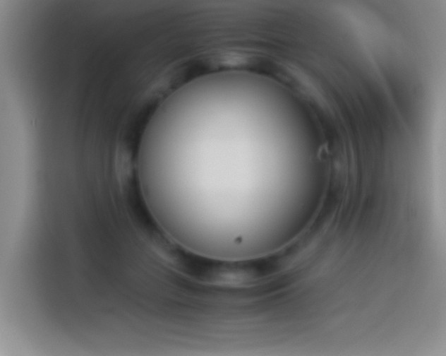 X0000113910555200910011451