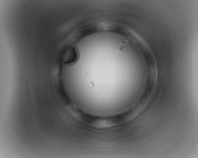 X0000113910557200910011451