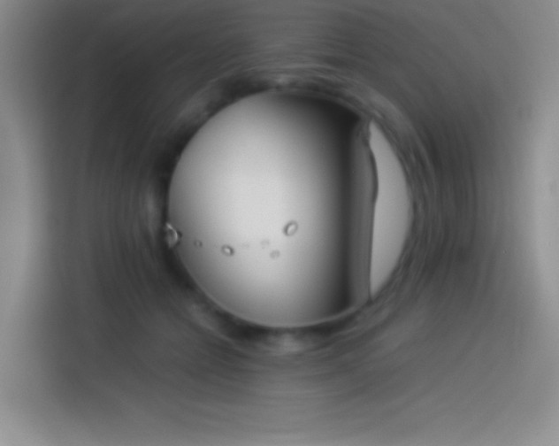 X0000113910558200910011451