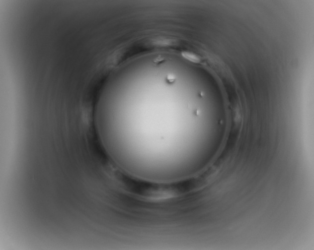 X0000113910559200910011451