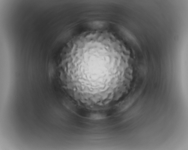 X0000113910561200910011451