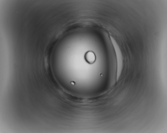 X0000113910562200910011451