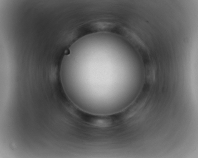 X0000113910563200910011451