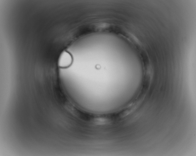 X0000113910565200910011451