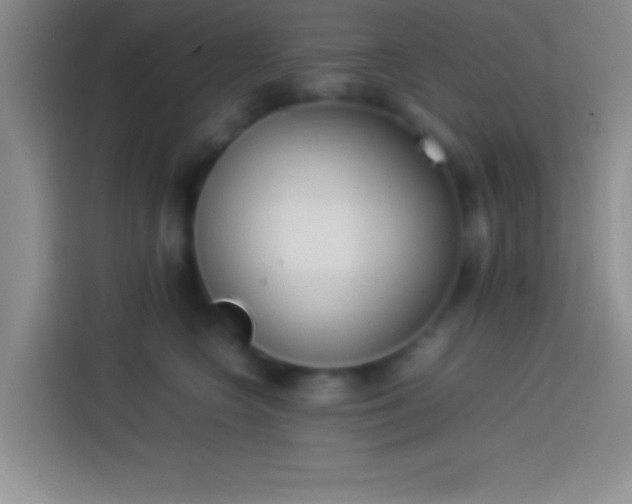 X0000113910566200910011451