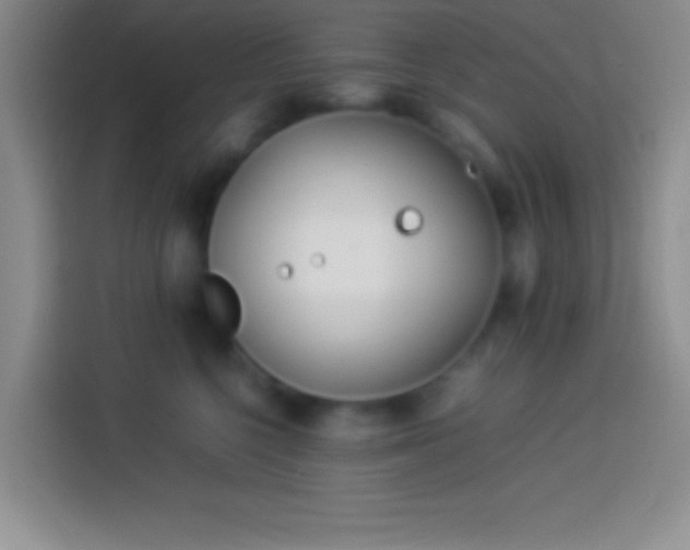 X0000113910568200910011451