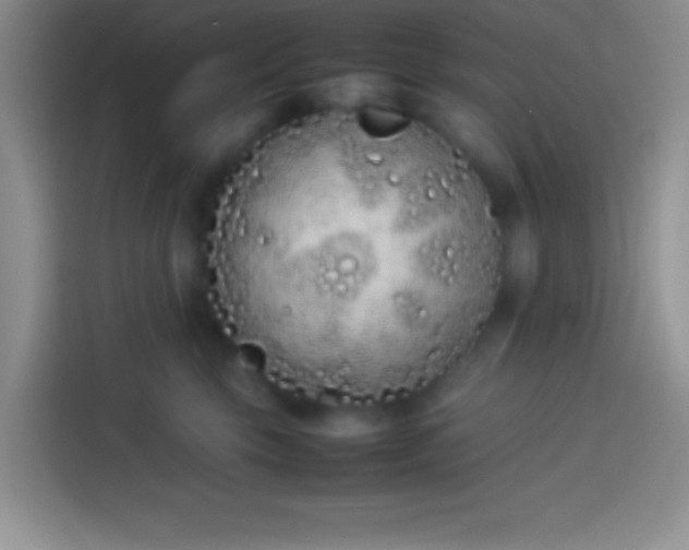 X0000113910569200910011451