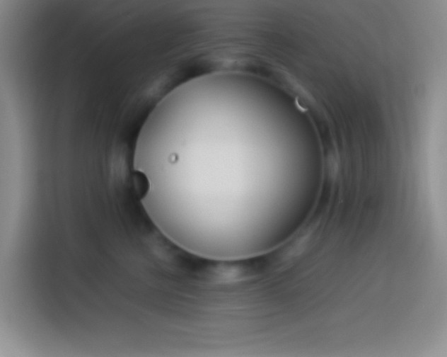 X0000113910570200910011451