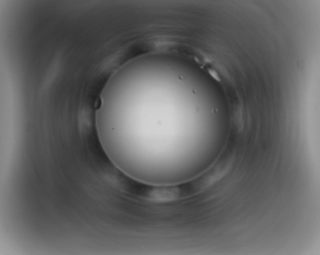 X0000113910571200910011451