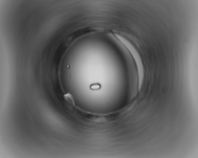 X0000113910572200910011451