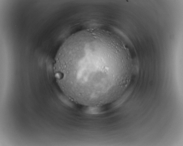 X0000113910573200910011451