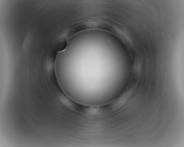 X0000113910574200910011451