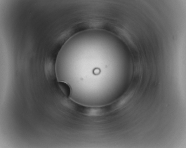 X0000113910575200910011451