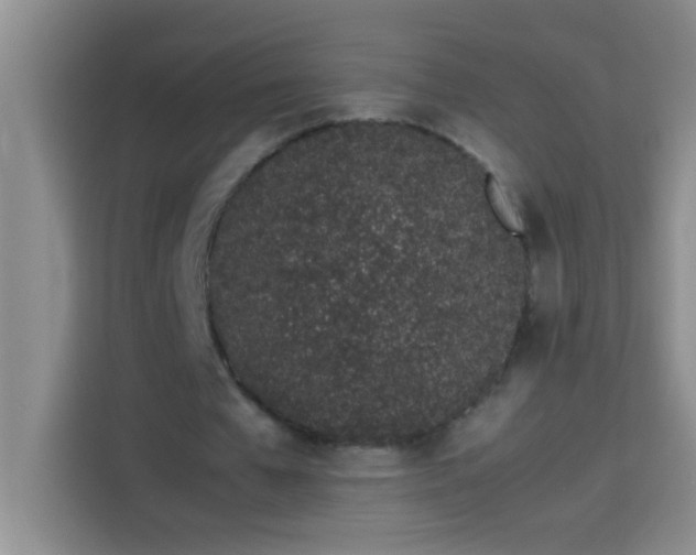 X0000113910577200910011450