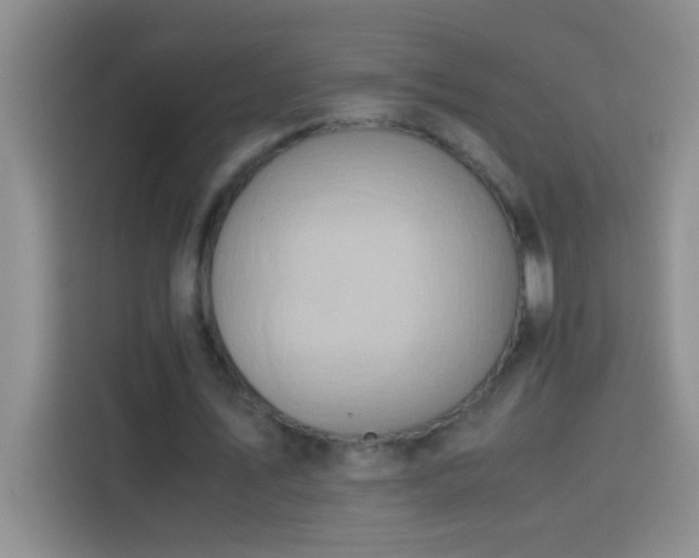 X0000113910579200910011450