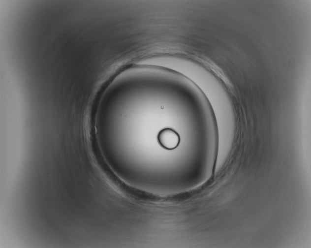 X0000113910581200910011450