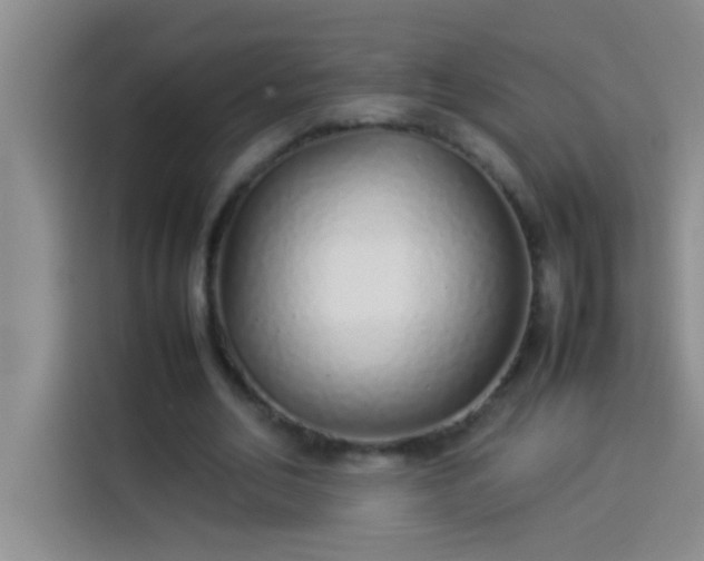 X0000113910582200910011450