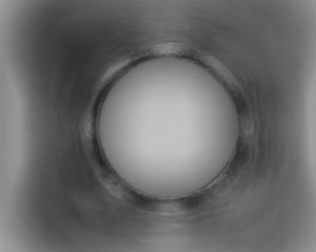 X0000113910583200910011450