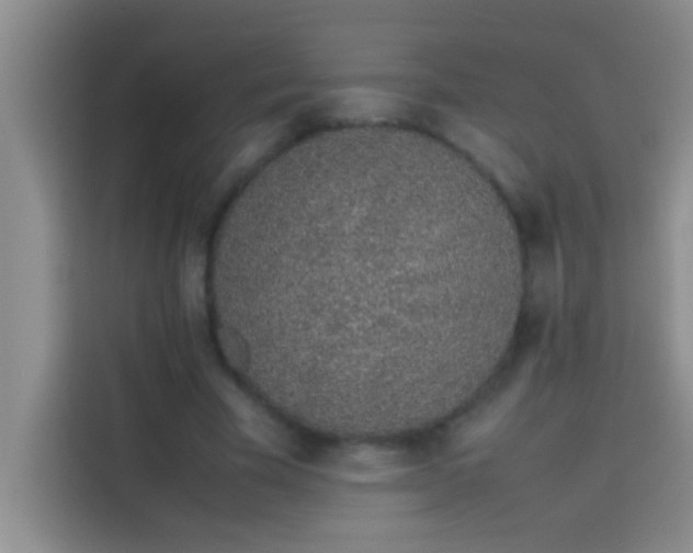 X0000113910585200910011450