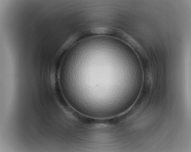 X0000113910586200910011450