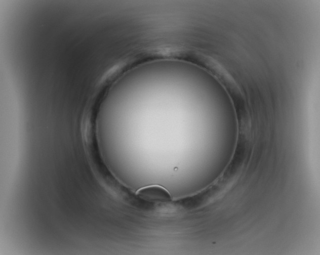 X0000113910587200910011450