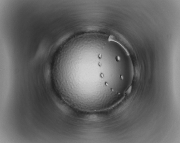 X0000113910588200910011450