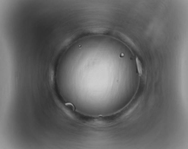 X0000113910589200910011450