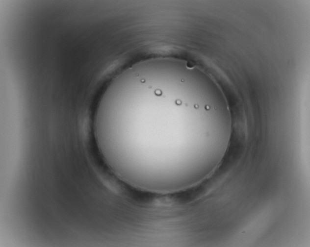 X0000113910591200910011450