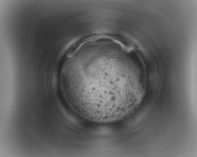 X0000113910592200910011450