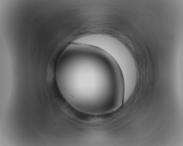 X0000113910593200910011450