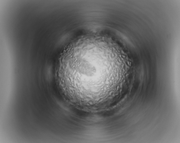 X0000113910594200910011450