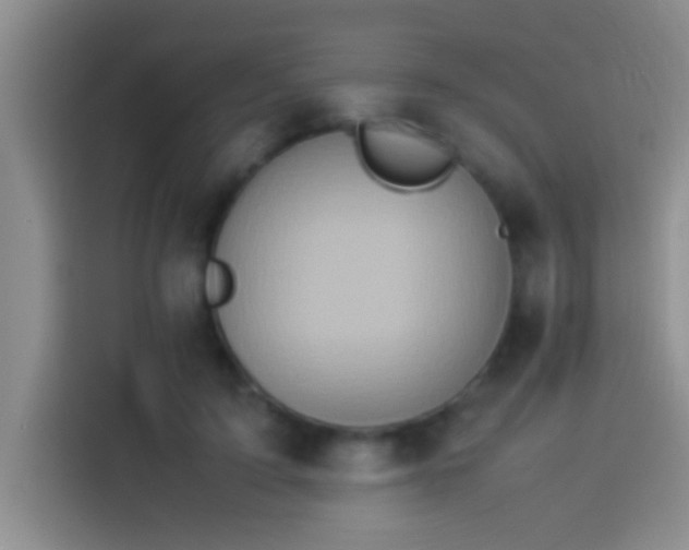 X0000113910595200910011450