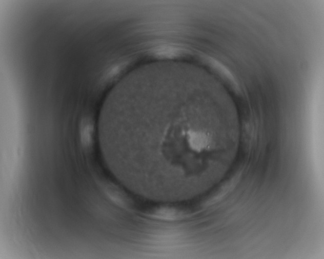 X0000113910596200910011450