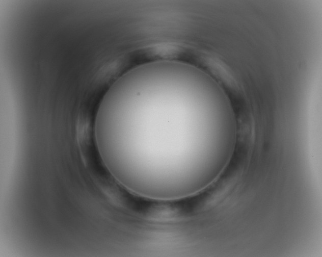 X0000113910597200910011450