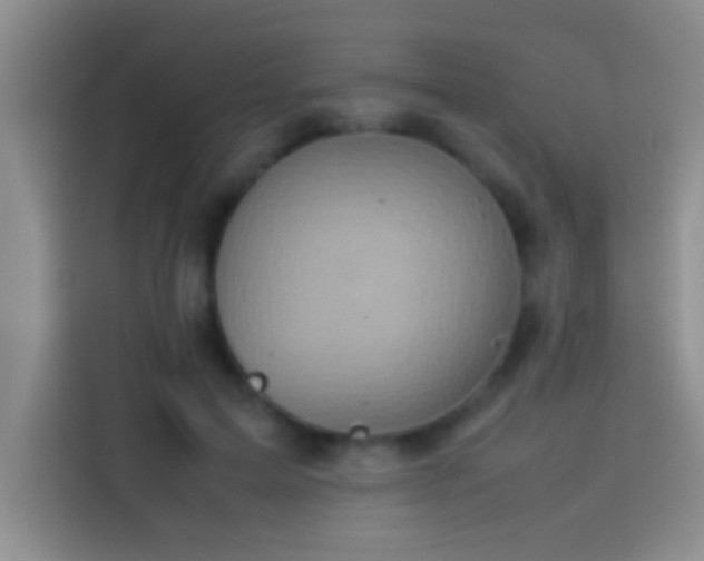 X0000113910599200910011450