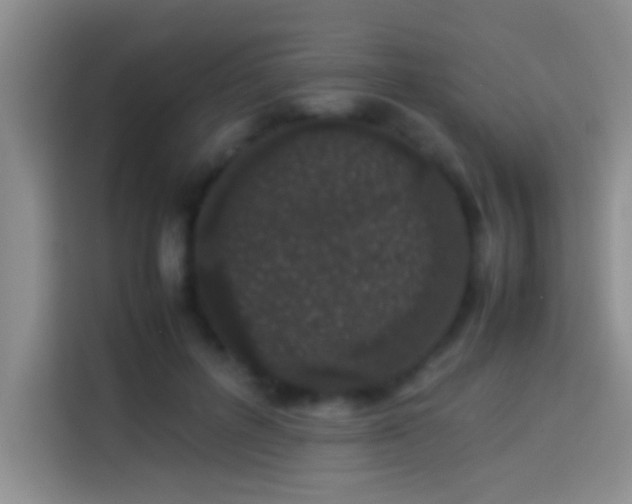 X0000113910600200910011450