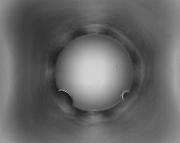 X0000113910601200910011450