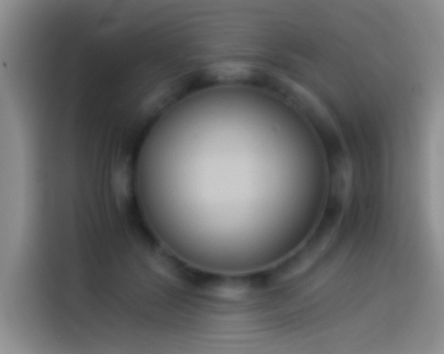 X0000113910604200910011450