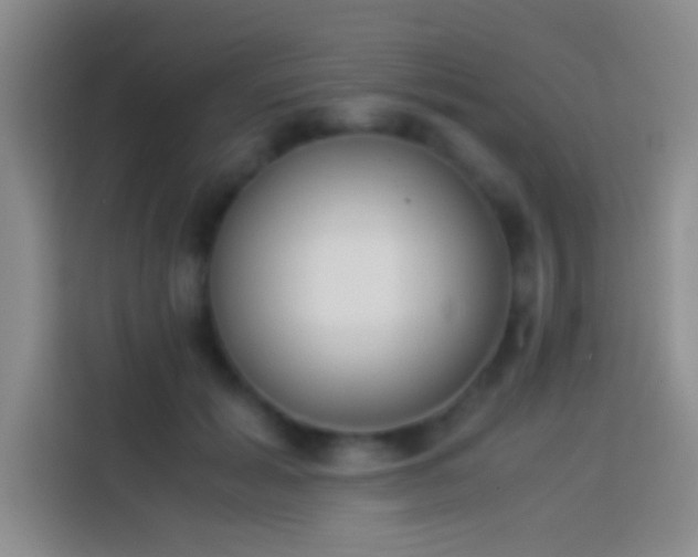 X0000113910605200910011450