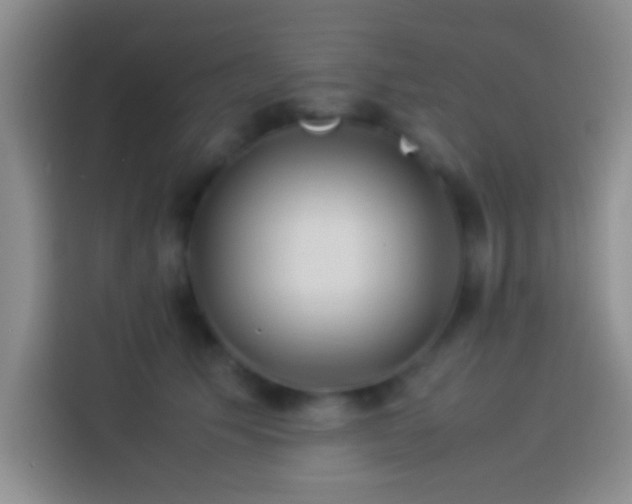 X0000113910609200910011450