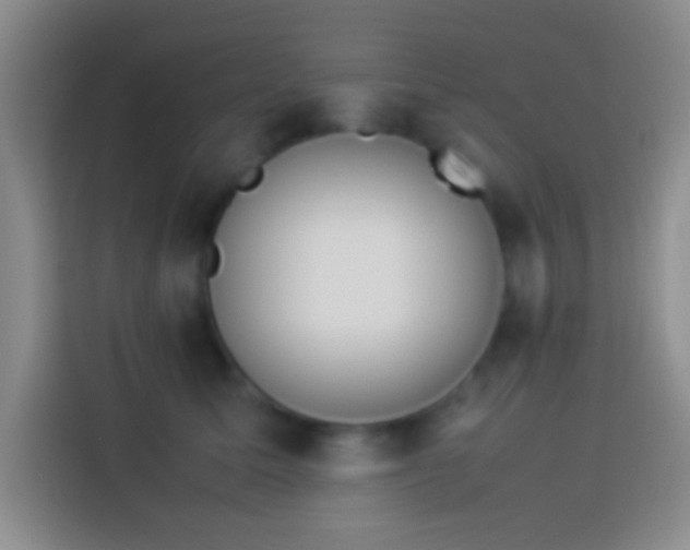 X0000113910611200910011450