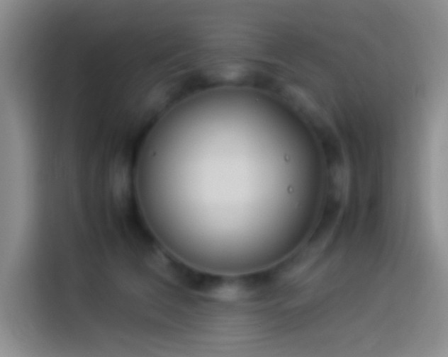 X0000113910612200910011450