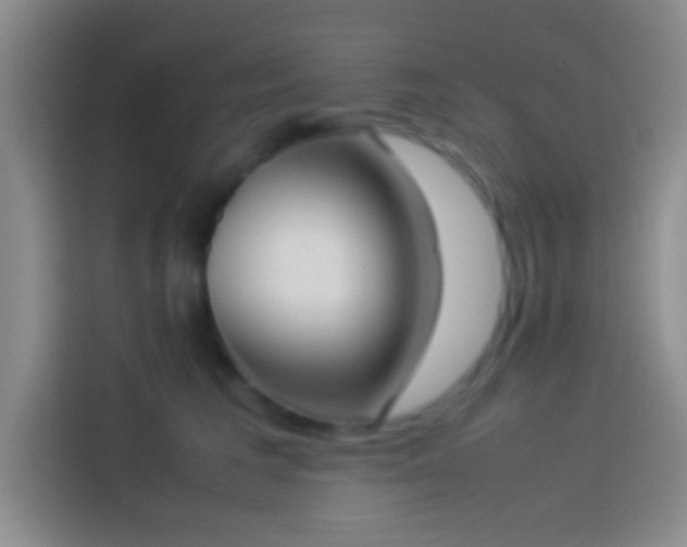 X0000113910613200910011450