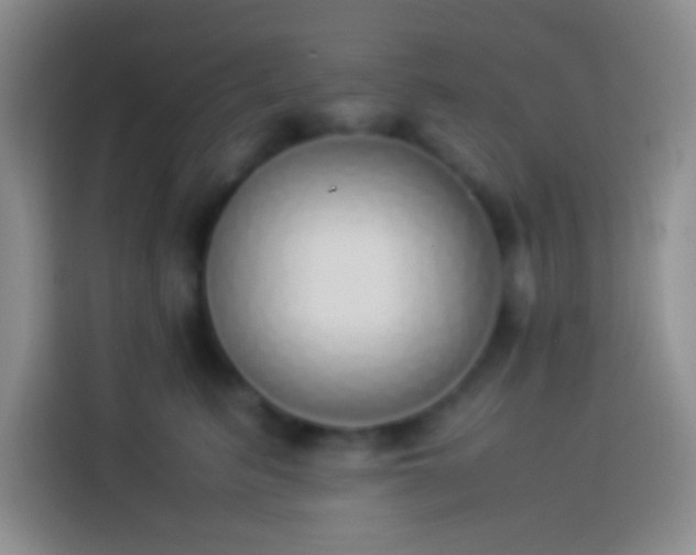 X0000113910615200910011450