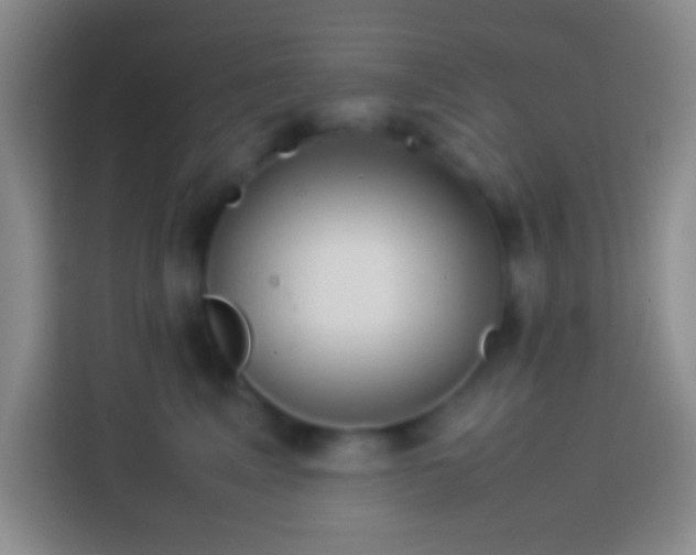 X0000113910617200910011450