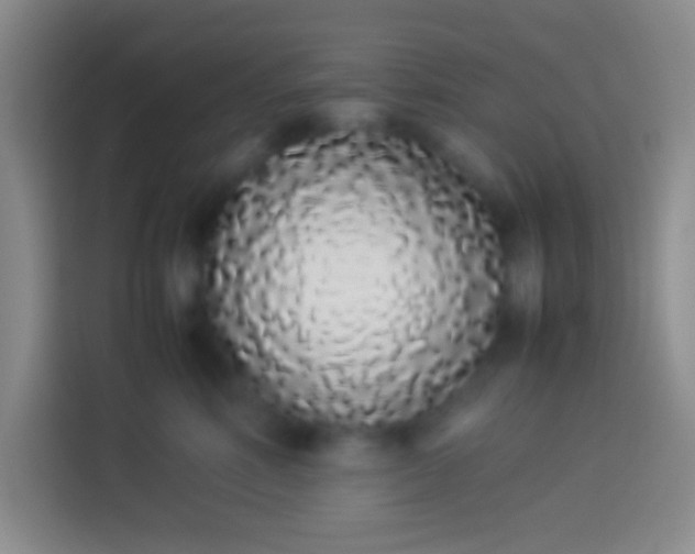 X0000113910618200910011450